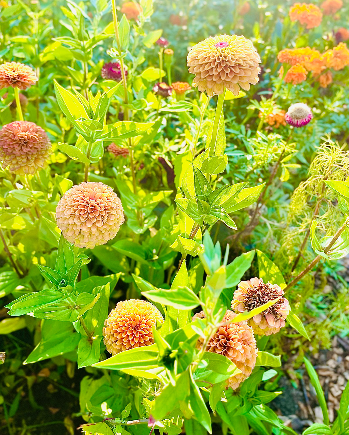 Navigating a Relationship with Someone with Cluster B Traits